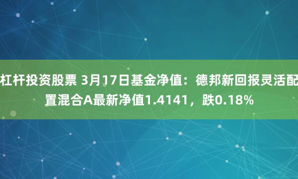 杠杆投资股票 3月17日基金净值：德邦新回报灵活配置混合A最新净值1.4141，跌0.18%