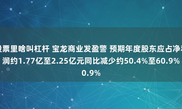 股票里啥叫杠杆 宝龙商业发盈警 预期年度股东应占净利润约1.77亿至2.25亿元同比减少约50.4%至60.9%