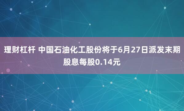 理财杠杆 中国石油化工股份将于6月27日派发末期股息每股0.14元