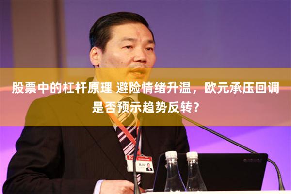 股票中的杠杆原理 避险情绪升温，欧元承压回调是否预示趋势反转？