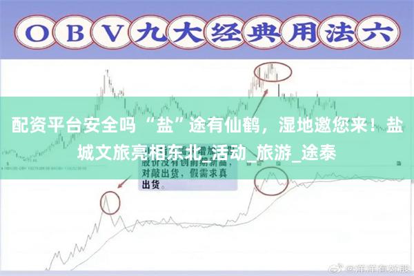 配资平台安全吗 “盐”途有仙鹤，湿地邀您来！盐城文旅亮相东北_活动_旅游_途泰