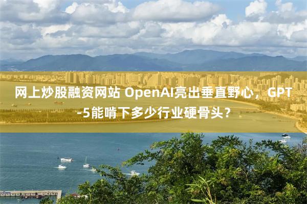 网上炒股融资网站 OpenAI亮出垂直野心，GPT-5能啃下多少行业硬骨头？