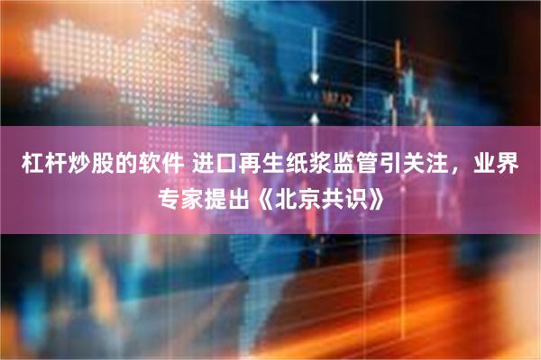 杠杆炒股的软件 进口再生纸浆监管引关注，业界专家提出《北京共识》