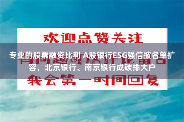 专业的股票融资比利 A股银行ESG强信披名单扩容，北京银行、南京银行成碳排大户